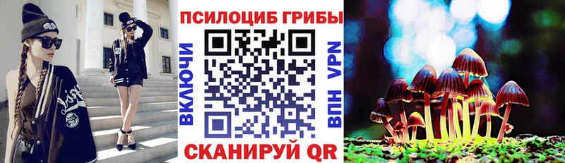 купить   Венёв  omg ТОР  Галлюциногенные грибы мухоморы 